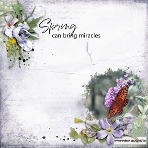Spring Miracle