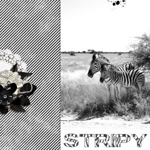 Stripy