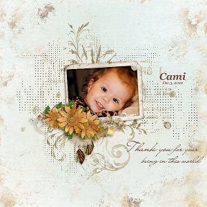 Cami