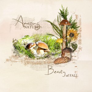 Just one Fall day