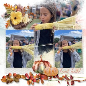 pp-color-pumpkin-patch-corn.jpg