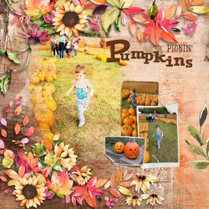 Pickin Pumpkins