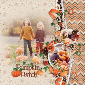 pumpkin-patch