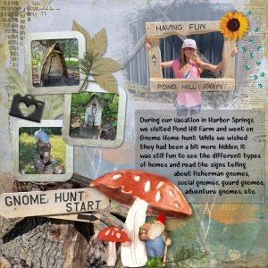 Gnome Home Hunt