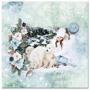 Hello Winter
