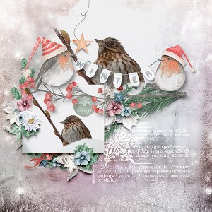 Winter Snow
