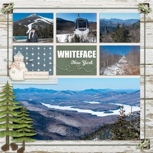 Whiteface