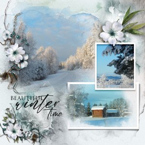 Beautiful-winter-time.jpg