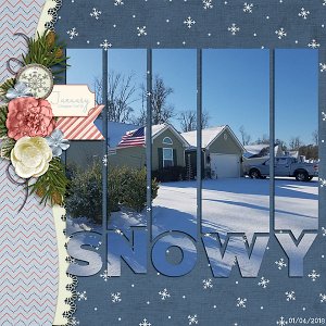 Snowy-copy.jpg