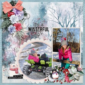 Winterful Life