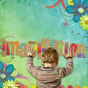 Imagination