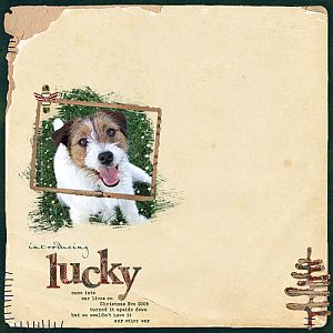 Introducing Lucky