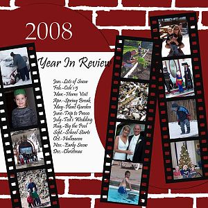 2008 year in review