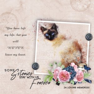 In loving memories beloved cat