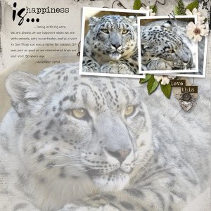 snow-leopard.jpg