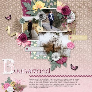 Buurserzand