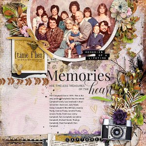 Memories - Time Flies