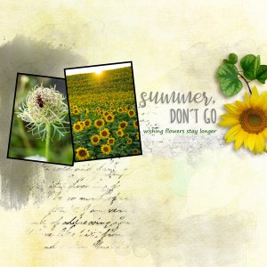 artsy-challenge---Summer-flowers---palvinka-march-2022.jpg