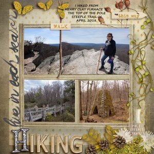 HIKING - CELEBRATE YOU - WEB.jpg