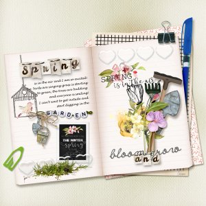 pp-Wk-3 book-journaling.jpg