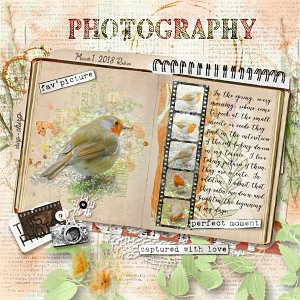 B57_JustCreate&ScrapByBellisae600.jpg