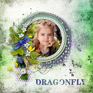 *Dragonfly Story*