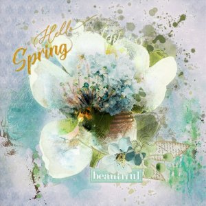 TC-Brushes-Hello Spring