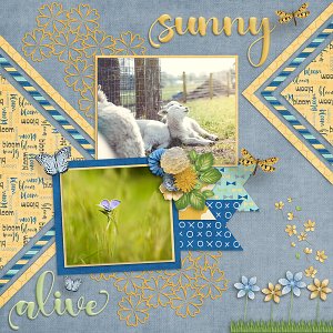 Moments-of-March-Layout-web.jpg