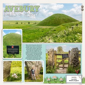 Avebury - Fields of History