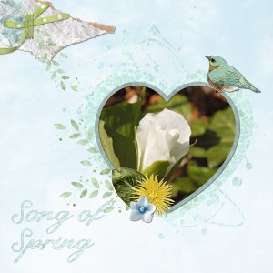 Song-of-Spring