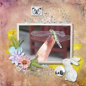 Dragonfly Visit