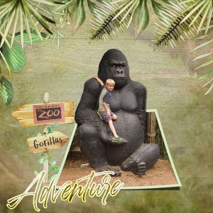 Gorilla