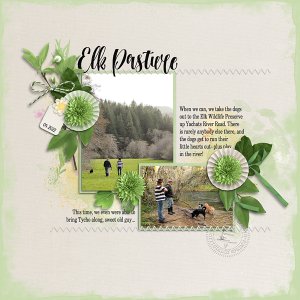 Elk Pasture (Typography 3 Challenge)