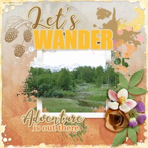 Let's-wander.jpg