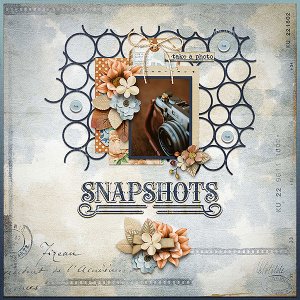 snapshots