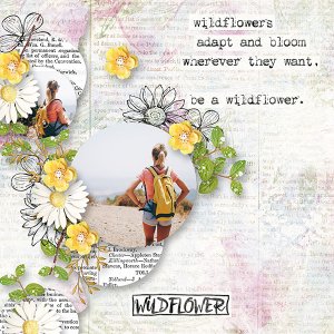 Wildflower.jpg