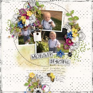 bellisae_WILDFLOWER + template carol w.jpg