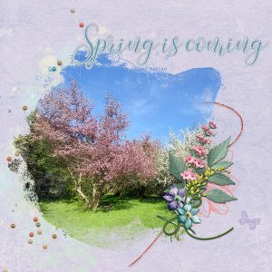 Spring is Coming