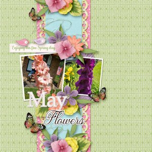 May Flowers