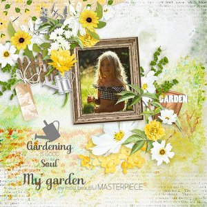 my-garden.jpg