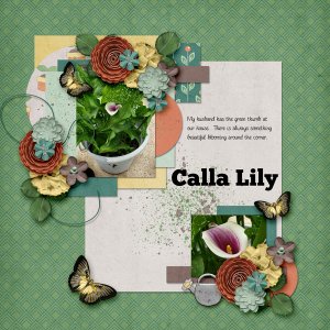 Sprout_Calla-Lily.jpg