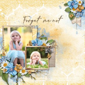 Forget Me Not