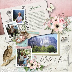 BE nature-journal-HSA