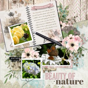 Nature-journal.jpg