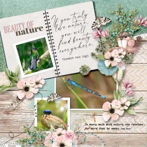 nature-journal-HSA-600