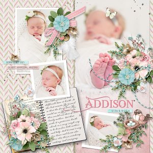 ADDISON