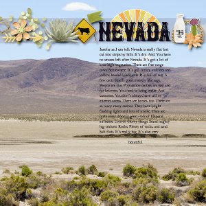 Nevada - Negative Space Typography Challenge