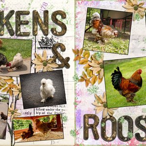 Chickens-&-Roosters--2022-WEB.jpg