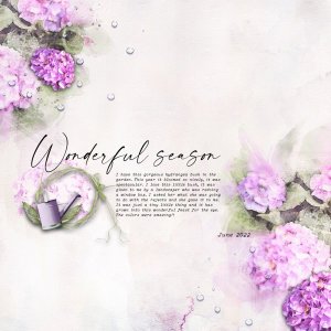 2022-7-10-WonderfulSeason.jpg