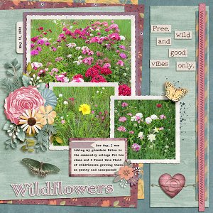 Wildflowers-copy.jpg